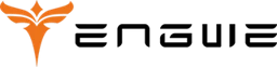 ENGWE EU logo